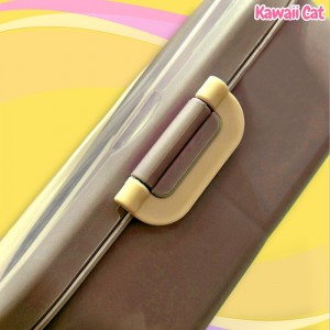 Lunch Box Colorful Cat