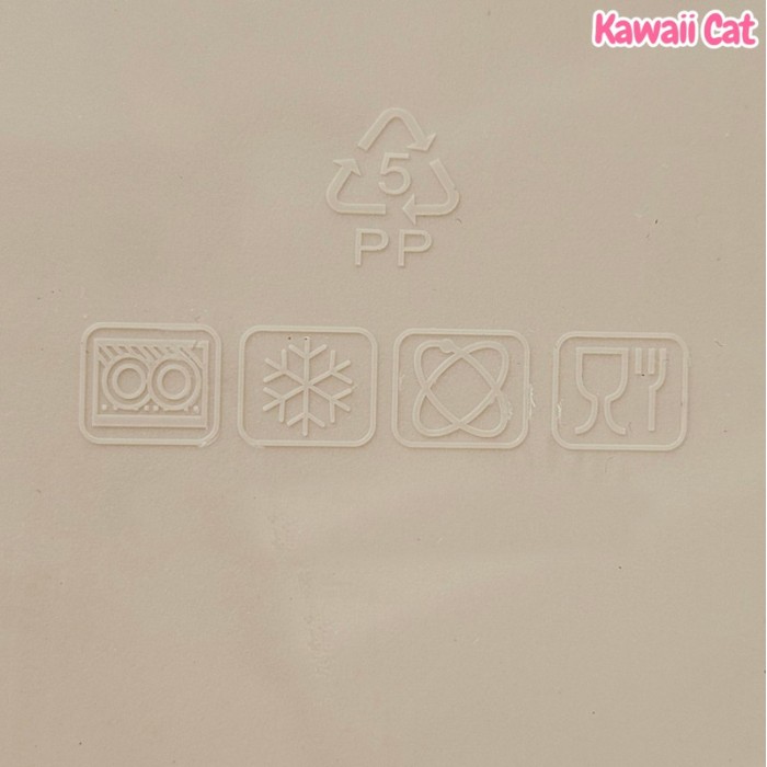 Lunch Box Colorful Cat