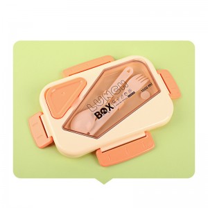 Lunch Box Delicacy Orange