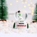 Glob de zăpadă mic NY Christmas