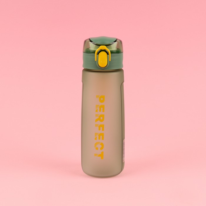 Sticlă Plastic Perfect 500ml