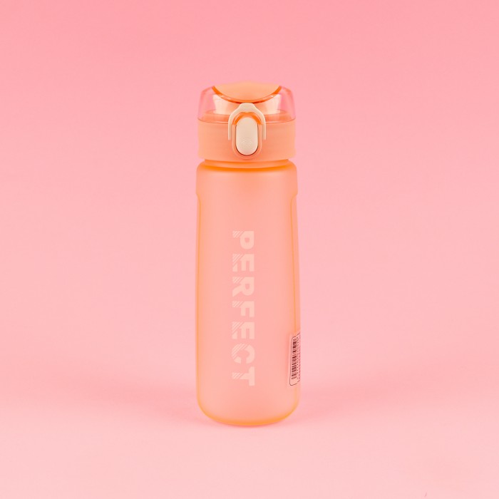 Sticlă Plastic Perfect 500ml